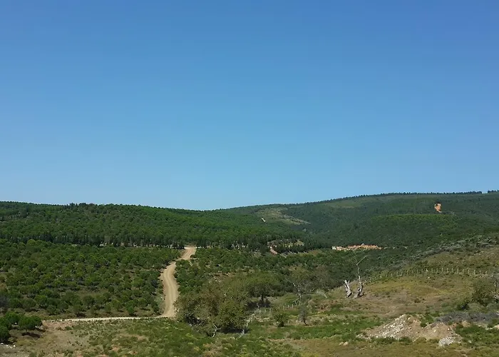 Termal Park فندق